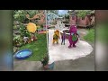 Barney Friends S8E6 It S Hot It S Cold 2003