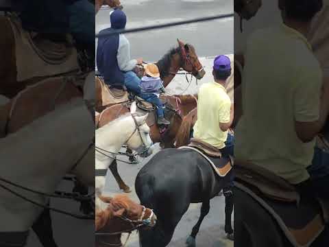  Cavalgada Feminina 2° edição Ouro Branco Alagoas 