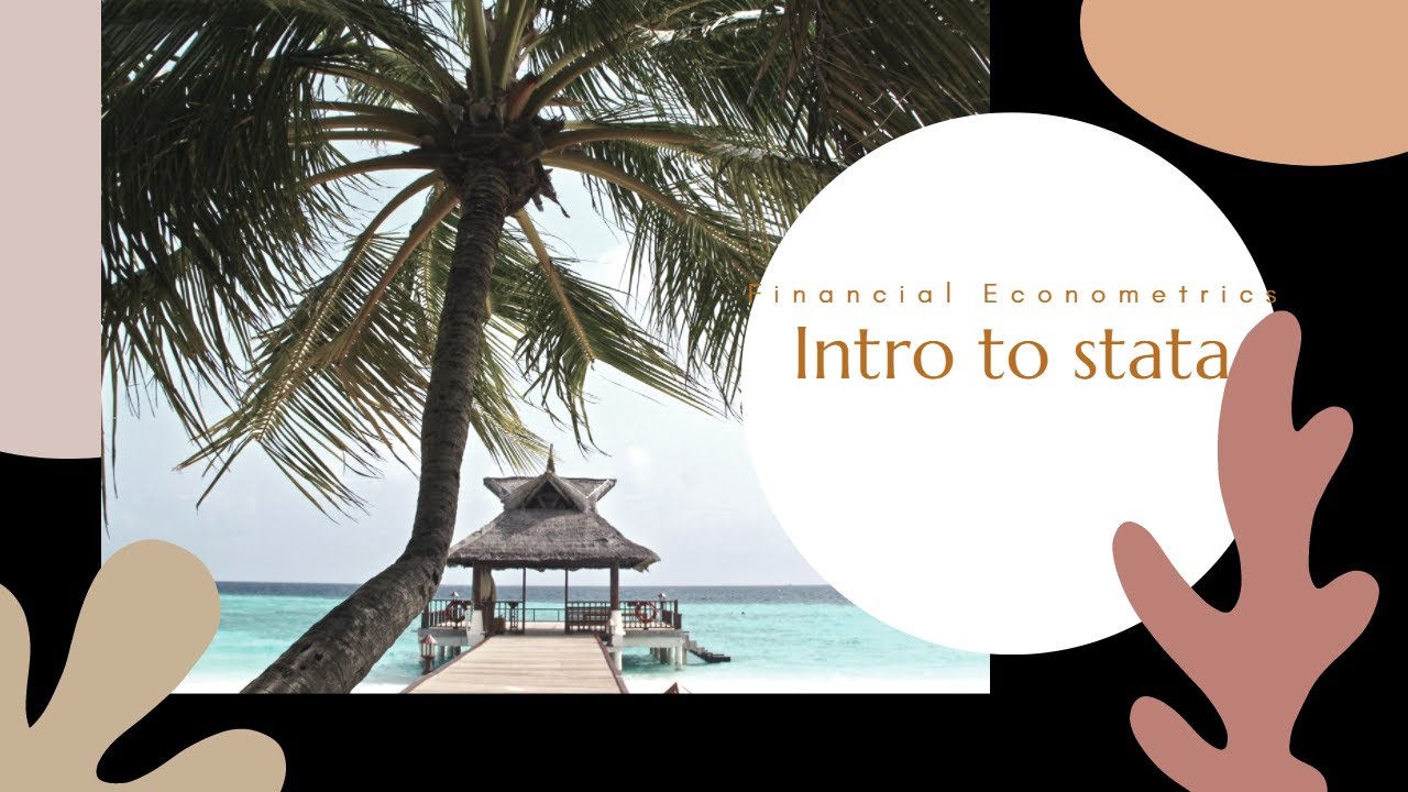 Introduction to Financial Econometrics using stata