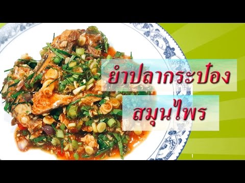 คลิกเพื่อดูคลิปวิดีโอ
