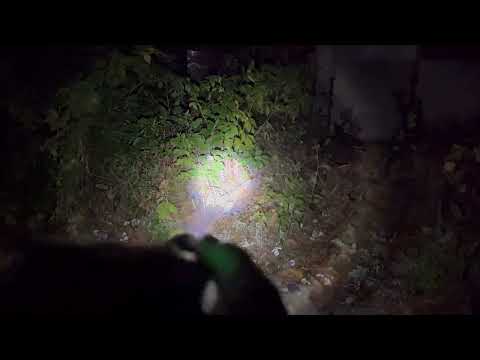 Фонарь аккумуляторный PL 6509 P50