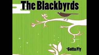 Blackbyrds - Someday We'll All Be Free