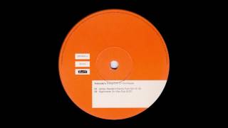 Adamski's Thing ‎- One of the People (Ashley Beedle's Electro Funk Mix) [1998]
