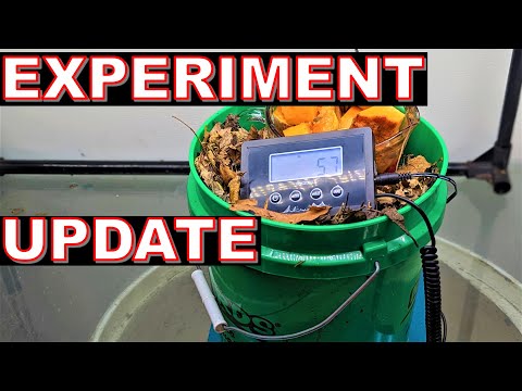 Worm Farm Experiment: Will My Kitchen Scraps Turn Into Castings 5 To 1?