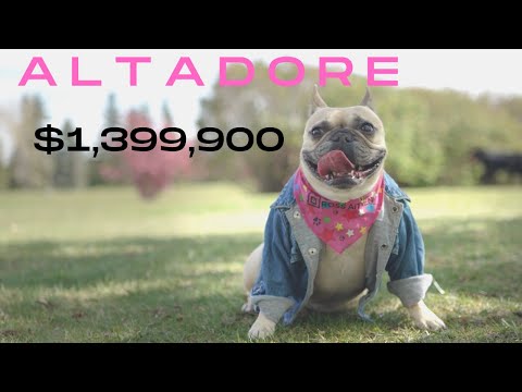 📍4924-21st Street SW, Altadore