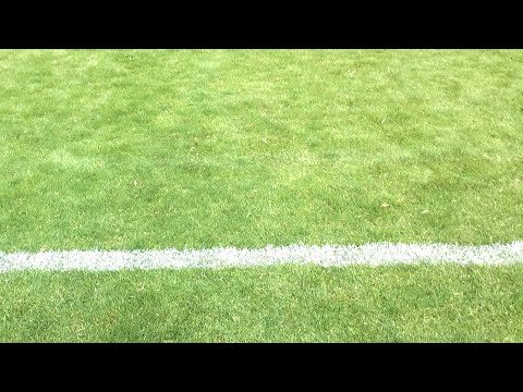 Tervarit 06 - Ajax Särkänniemi cup D12 kilpa