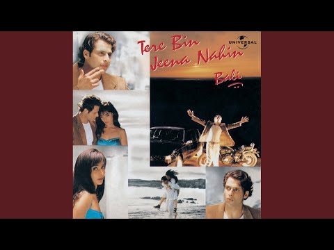 Tere Bin Jeena Nahin (Full Audio) — watch video