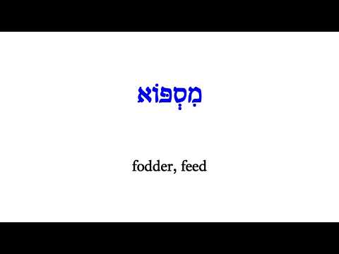 H4554 מִסְפּוֹא