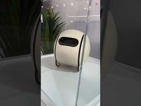 Ballie von Samsung: Das kann der neue Smarthome-Assistent