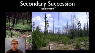 Ecological Succession