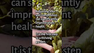 Brilliant Soil Secrets: Sand Silt Clay Demystified