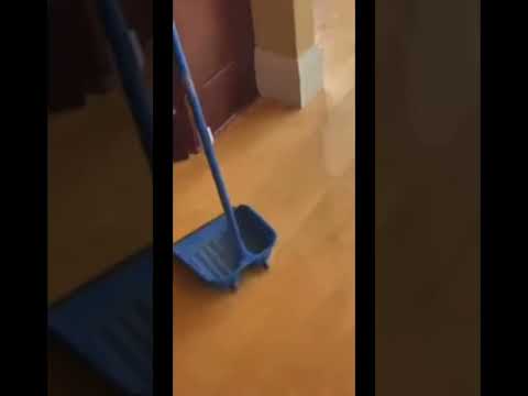 A Bird In Claw Kickers House!