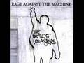Rage Against The Machine: Voice Of The ...