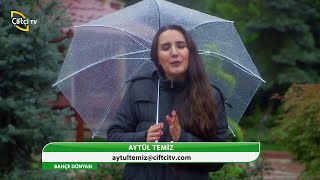 BAHÇE DÜNYASI - BAHÇE PEYZAJI