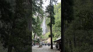 和歌山・那智勝浦 世界遺産 那智の大滝 幻想的な光景 #japan #travel #世界遺産