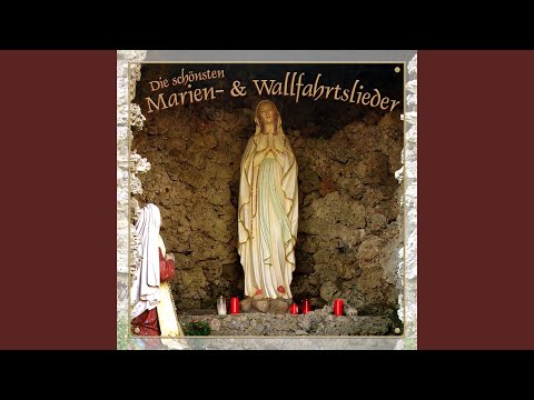 Mutter Gottes, wir rufen zu Dir (feat. Unicata Vocalis)