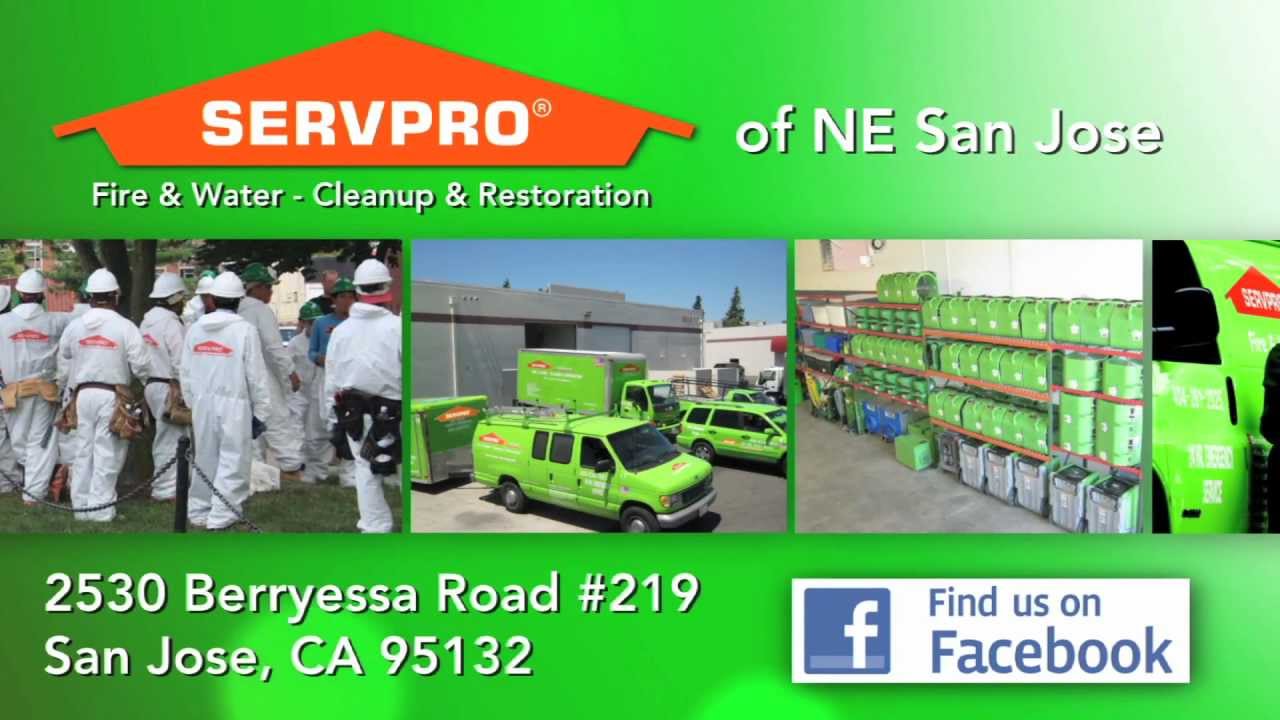 Business Profile Video