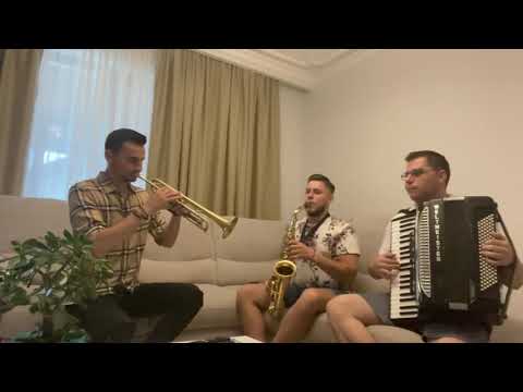 Ionut Peiu,Cosmin Croitor,Florin Pastor-două hore frumoase la rece