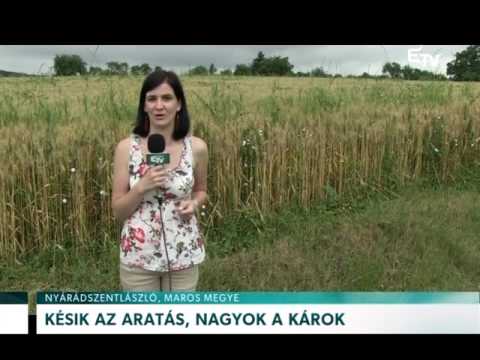 Híradó 2016. június 29. – Erdélyi Magyar Televízió