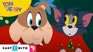 Tom and Jerry: Festive Boat  Cartoonito Africa