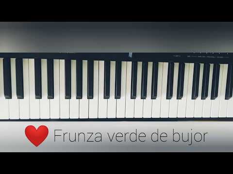 11.Frunza verde (Mica Metoda de Pian, M. Cernavodeanu) - Audio Guide. Piano Playing (Beginner)