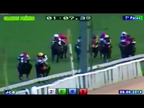 GP BRASIL 2014 ( BAL a BALI )