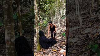 Download lagu I Met a Gorilla and I Escaped 😱🦍🦍#bushcraft #camping #survival#p4083 mp3 Download lagu I Met a Gorilla and I Escaped 😱🦍🦍#bushcraft #camping #survival#p4083 mp3