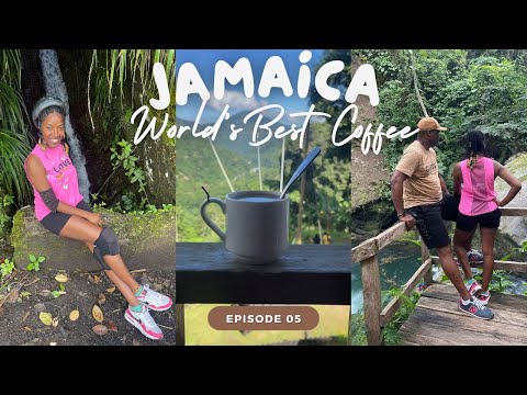 🇯🇲 Blue Mountain Coffee Tour: Bike, Swim & Swing Adventure!