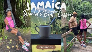 🇯🇲 Blue Mountain Coffee Tour| WHAT to EXPECT- A 6-mile Bike Ride Down Hill, River Swim & Bali Swing
