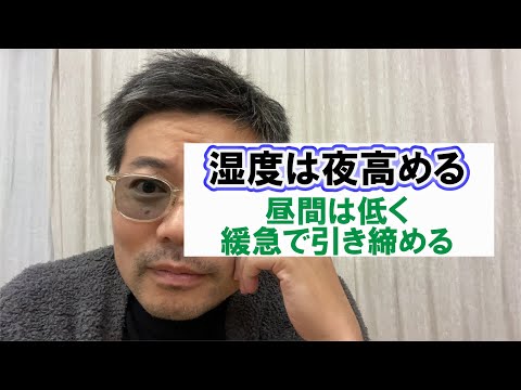 オレンジの木はどのくらいの温度に耐えることができますか?凍っていますか？冬に凍ってしまった場合の復活方法は？  庭園