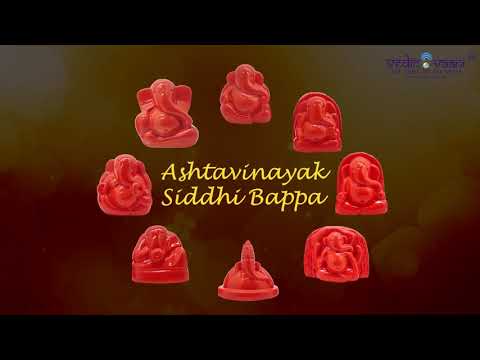 Ashtavinayak Shiddh Bappa Darshan set video