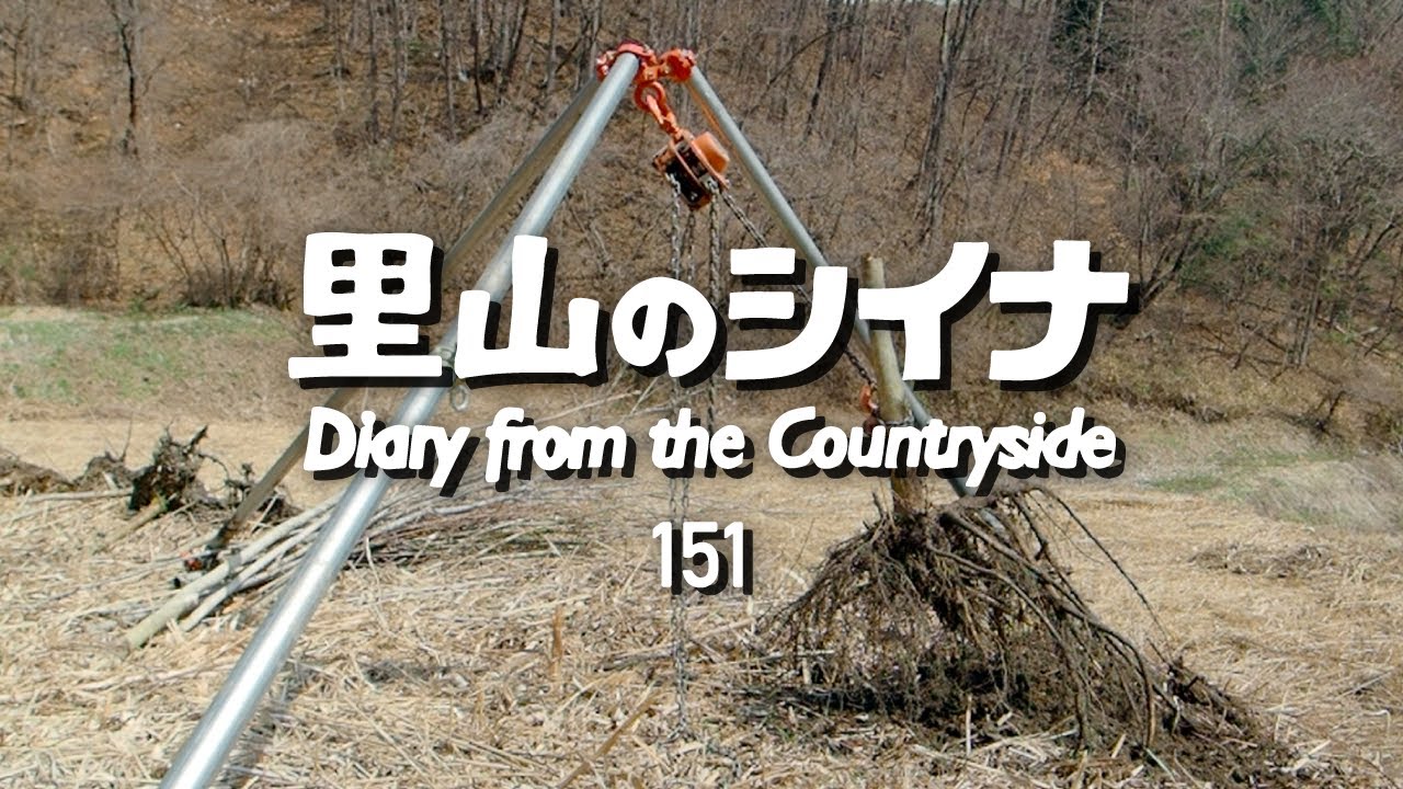 田舎暮らし 151：耕作放棄田んぼの再生