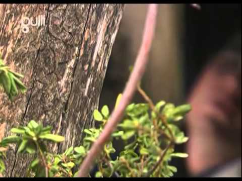 Grand Galop Saison 3 Episode 14   Le choix de Lisa partie 2