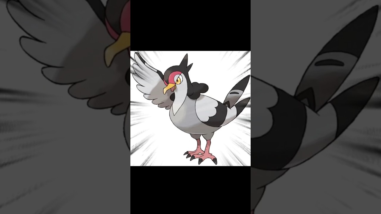 I'm noticing a pattern 💀