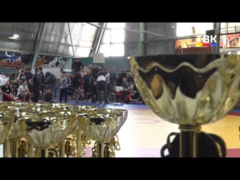 Больше десятка медалей завоевали бердчане на XXXI турнире по вольной борьбе памяти Дремина