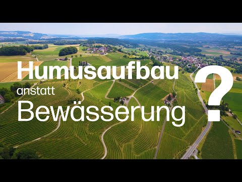 Humusaufbau statt Bewässerung im Weinberg – lebendige Böden dienen als Wasserspeicher