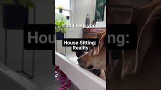 House Sitting: Instagram vs. Reality #shorts