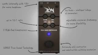 Video thumbnail for Basswitch Dual Band Compressor Features by RuppertMusicTools