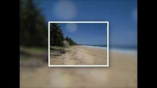 preview picture of video 'Nisibon beach front lot for your Paradise home'