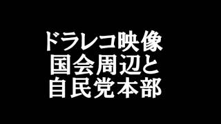 ドラレコ映像　国会周辺と自民党本部