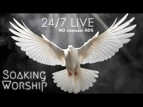 Lead Me Holy Spirit 247 Instrumental Soaking Worship, Prayer & Meditation Music