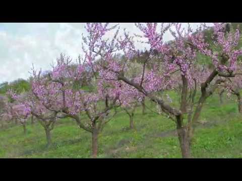 Ankommen und Wohlfühlen