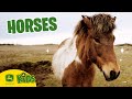 We Love Horses On The Farm John Deere Kids
