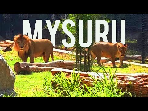 A DAY AT MYSURU ZOO II #MYSUREZOO