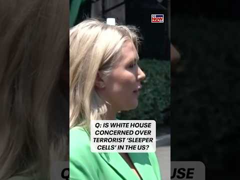 Video | Karoline Leavitt asked if the admin. is concerned with terrorist "sleeper cells" in the U.S.