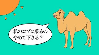 【アニメ】ラクダの独り言