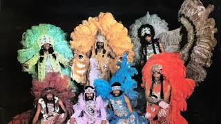 The Wild Magnolias -- Injuns, Here We Come [1975]