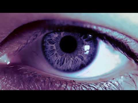 Or Barak - Elon Musk feat. Papii Rosë (Official Lyric Video)