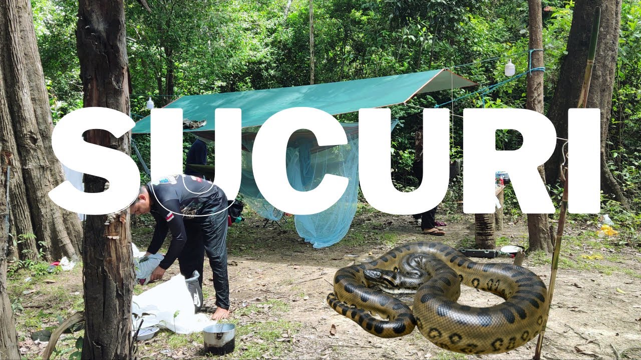 SUCURI, FLORESTA ALAGADA, AVENTURA NOS RIOS DA AMAZÔNIA