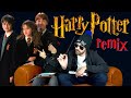 French Fuse Harry Potter Remix